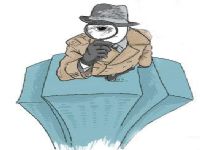 绿园区取证公司解说第三者承担离婚赔偿责任吗
